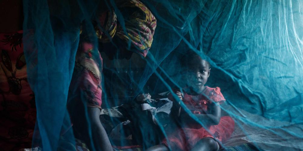 Image de Santé. La Journée mondiale contre le paludisme met en lumière un fléau persistant qui continue de frapper les populations les plus vulnérables à travers le monde, malgré les progrès réalisés dans la lutte contre la maladie. Cette année, alors que l'attention se tourne vers cette menace persistante à l'échelle mondiale, examinons de plus près cinq aspects essentiels de cette maladie dévastatrice. La Persistance du Paludisme Malgré les efforts déployés pour lutter contre le paludisme, la maladie reste un problème majeur de santé publique, entraînant un lourd tribut pour les populations les plus vulnérables. Le Dr Daniel Ngamije, responsable du programme paludisme de l'OMS, souligne que le paludisme demeure un défi de santé mondiale. En 2022, la maladie a causé la mort de 608 000 personnes dans le monde, selon les dernières données de l'OMS. L'ampleur du Problème En 2022, environ 249 millions de personnes ont été touchées par le paludisme, soit une augmentation de 2 % par rapport à l'année précédente. Cette hausse s'explique par une explosion des cas au Pakistan à la suite de crues catastrophiques et par une expansion de la maladie en Ethiopie, en Ouganda et en Papouasie-Nouvelle-Guinée. Le Nigeria, pays le plus peuplé d'Afrique, a enregistré le plus grand nombre de cas au monde, avec 66 millions de cas, suivi de près par la République démocratique du Congo avec 30 millions de cas. Impact sur l'Afrique L'Afrique reste la région la plus touchée par le fléau, représentant 94 % des cas et 95 % des décès liés à la maladie. Les enfants de moins de cinq ans sont particulièrement vulnérables, représentant 78 % des décès liés au paludisme sur le continent. Les pays les plus affectés par la maladie en Afrique sont le Nigeria, la RDC, le Niger et la Tanzanie, où près de la moitié des décès dus au paludisme sont concentrés. Menace du Changement Climatique Le changement climatique aggrave la situation en favorisant la transmission et l'impact du paludisme. Les inondations et les vagues de chaleur ont un effet direct sur la propagation de la maladie. Par exemple, les inondations exceptionnelles au Pakistan en 2022 ont entraîné une multiplication par cinq des cas de paludisme dans le pays. Cette menace croissante souligne l'urgence d'agir pour contrôler la propagation de la maladie. Défis de la Résistance et de la Vaccination Des cas de résistance aux traitements recommandés contre le paludisme, tels que les traitements à base d'artémisinine, sont apparus en Asie du Sud-Est et en Afrique, constituant une menace sérieuse pour les efforts de lutte contre la maladie. Parallèlement, l'introduction de nouveaux moustiques résistants aux insecticides, tels qu'Anopheles stephensi, suscite également des inquiétudes. Dans cette lutte continue contre le paludisme, la vaccination joue un rôle crucial. Les campagnes de vaccination systématiques lancées au Cameroun et au Burkina Faso, ainsi que la distribution imminente de nouveaux vaccins en Afrique, offrent de nouveaux espoirs dans la lutte contre la maladie. Ces avancées permettront de sauver des vies et de protéger les populations les plus vulnérables contre le paludisme. Alors que le monde observe la Journée mondiale contre le paludisme, il est crucial de reconnaître les progrès réalisés dans la lutte contre la maladie, tout en restant vigilant face aux défis persistants. La question demeure : comment pouvons-nous intensifier nos efforts pour éliminer définitivement cette menace pour la santé mondiale?